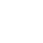 Map point icon