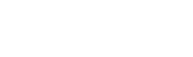 Navigation Bar Logo